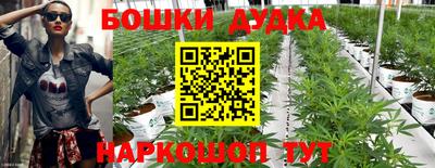 PSILOCYBIN Дубна