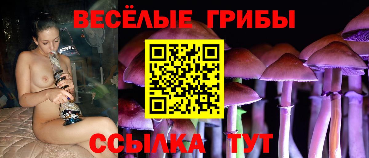 Псилоцибиновые грибы прущие грибы Люберцы